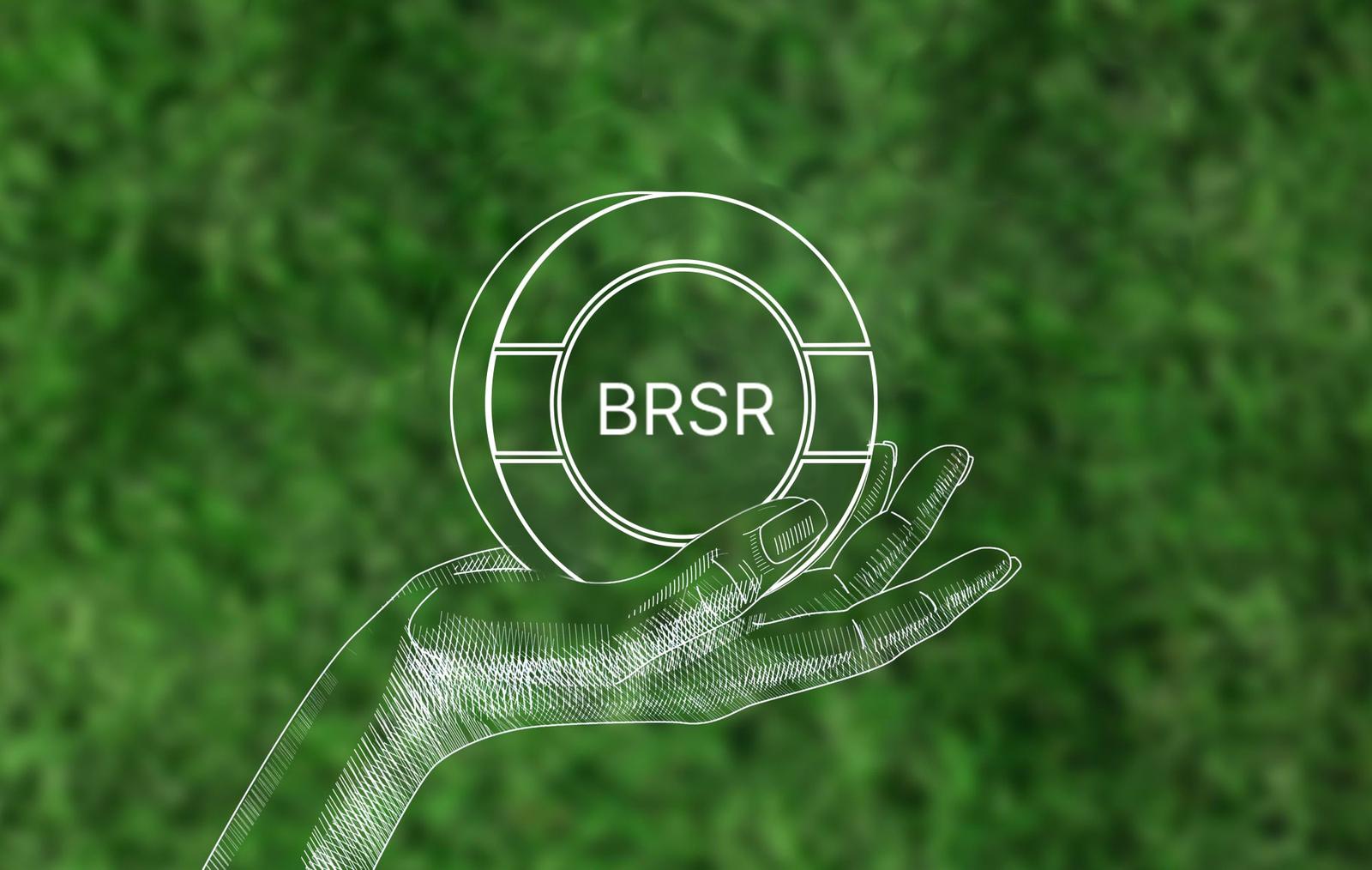 Regulation Icon