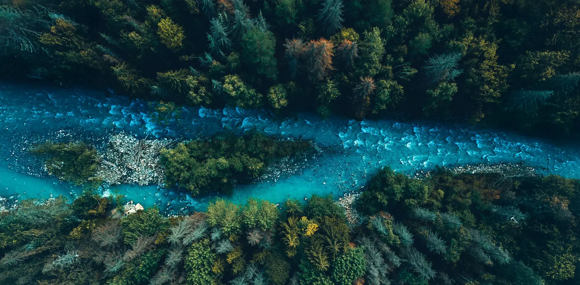 ESG Strategy & Transformation