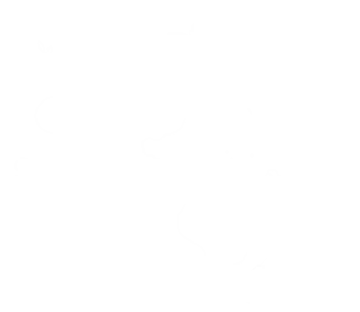 What Is The Role Of Sustainability Advisors Of Cognitud? 