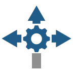 section image