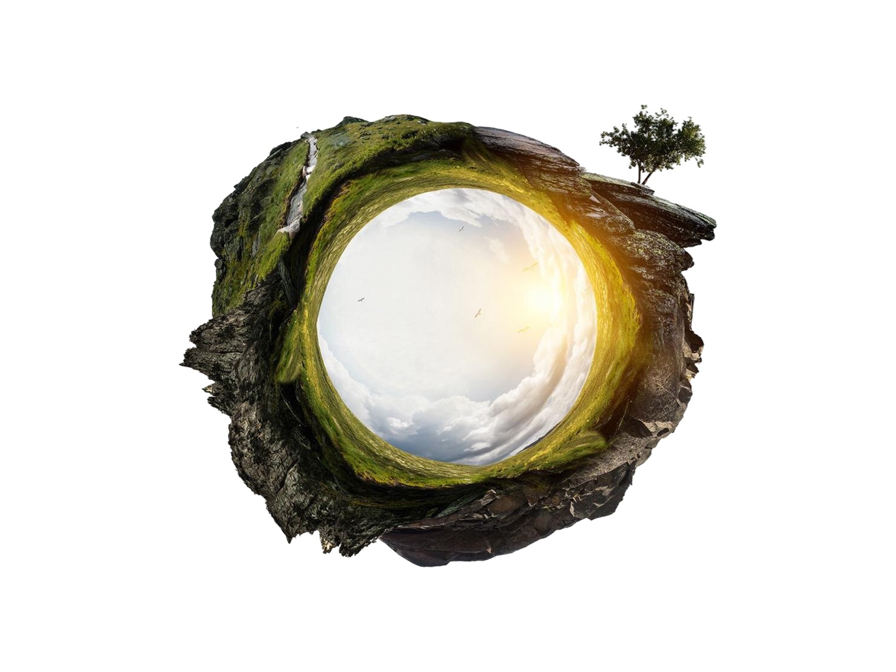 Biodiversity Risk Assessment