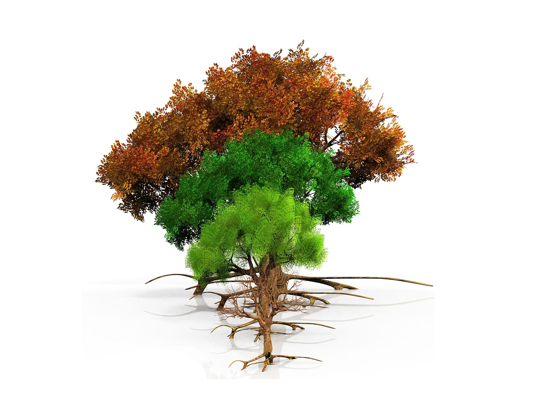 Scenario Analysis, Vulnerability Assessment, and Adaptation Strategy