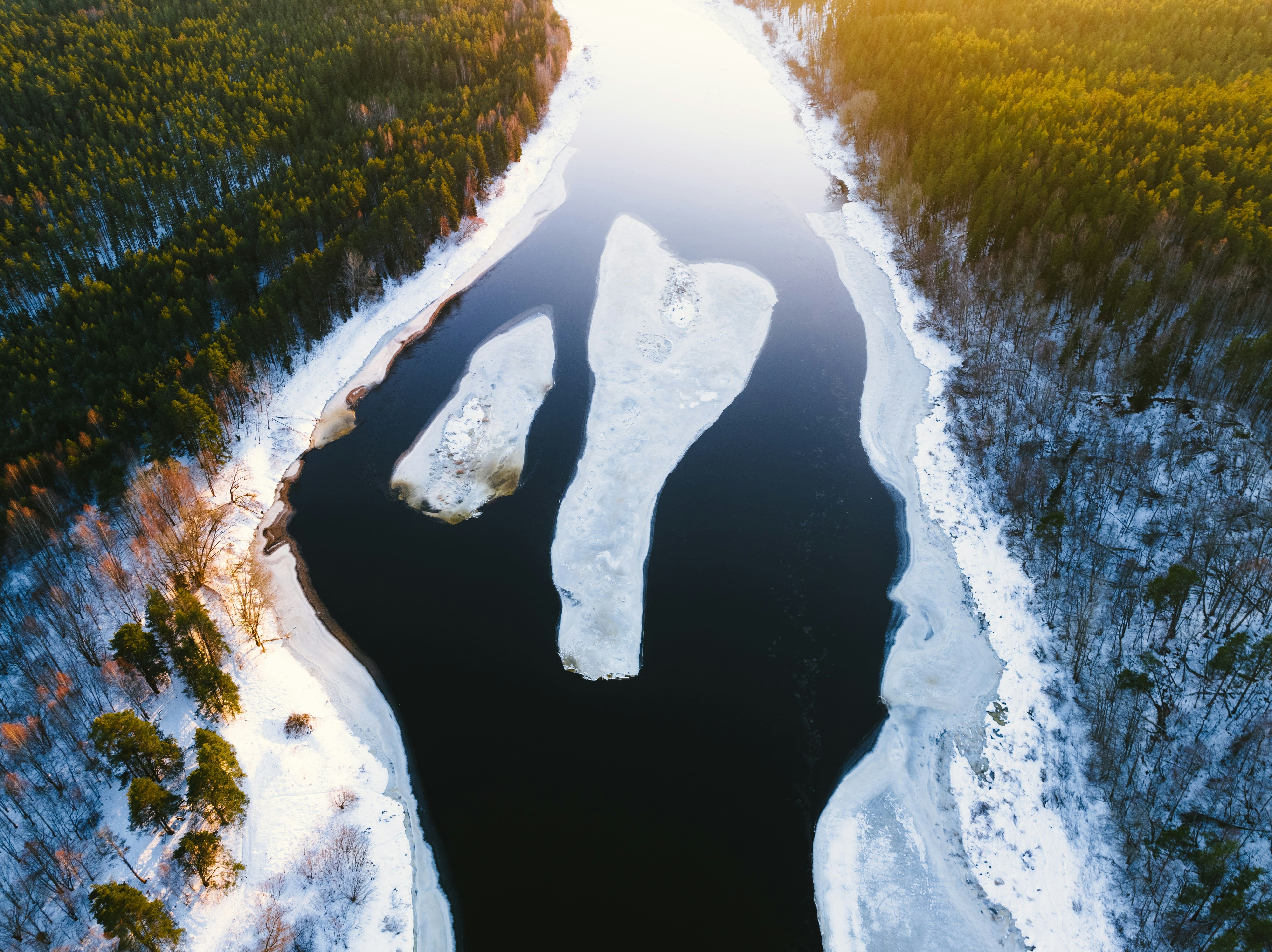 Climate Action & Net Zero